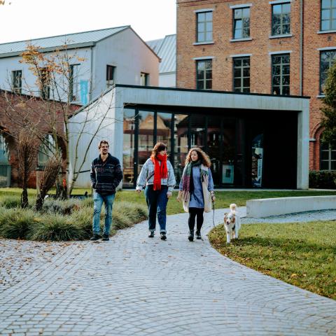 Mensen wandelen met honden