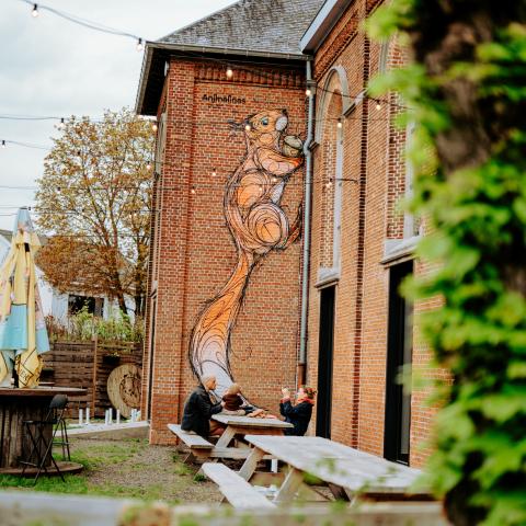 Eekhoorn klimt op de zijkant van een gebouw