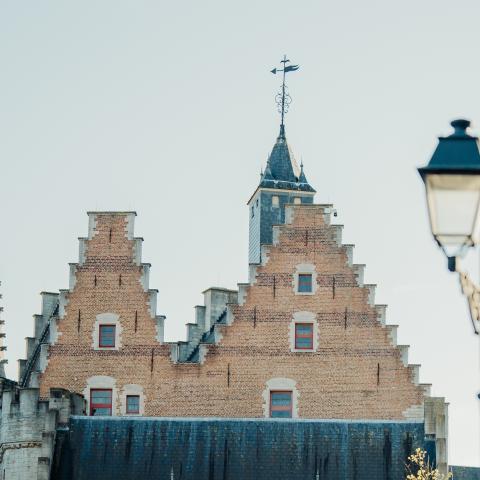 Dak van het Schepenhuis 