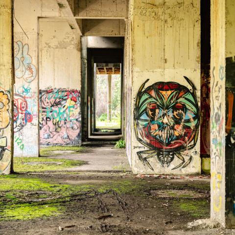 Grafitti Hotelruïne Vrijbroekpark 