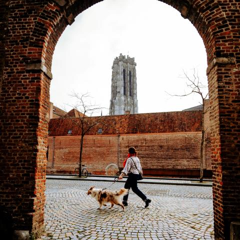 Wandelaar met hond voor de Sint-Romboutskathedraal