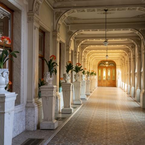 Wintertuin van de Ursulinen