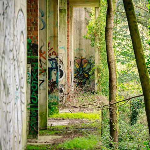 Hotelruïne Vrijbroekpark 