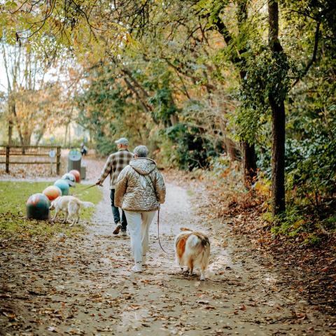 Wandelaars in het park