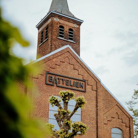 Batteliek