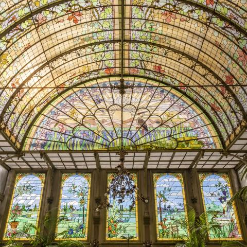 Wintertuin van de Ursulinen 