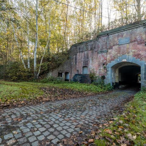Het Fort van Walem