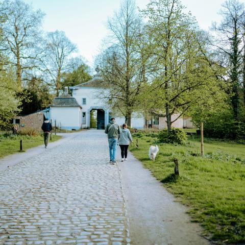 Wandelaars in het groen