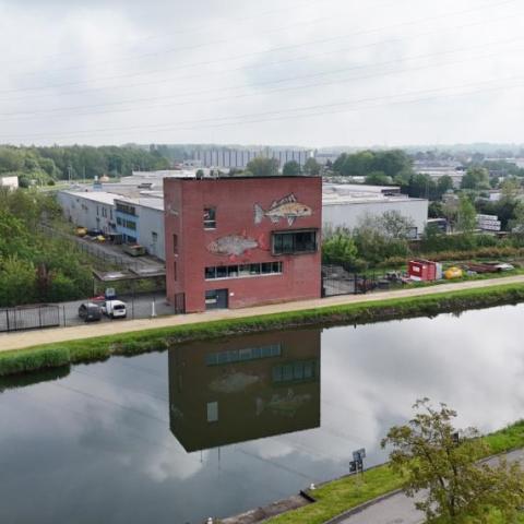 pos en rietvoorn aan de vaart