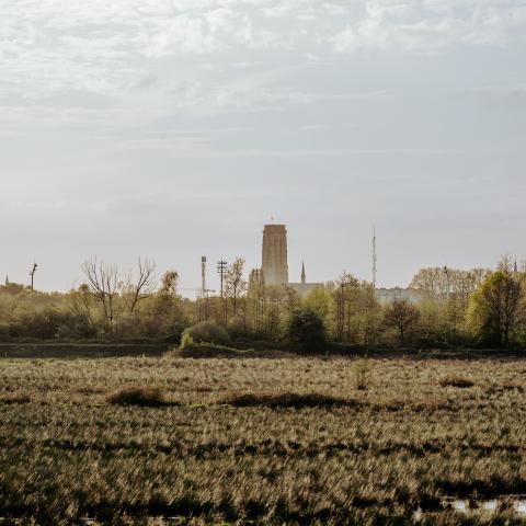 Sint-Romboutstoren vanuit het Mechels Broek