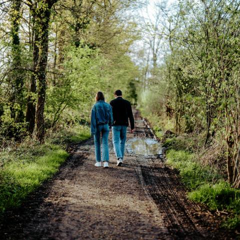 Wandelaars in het Mechels Broek