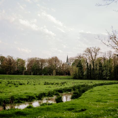 Verzicht Mechels Broek