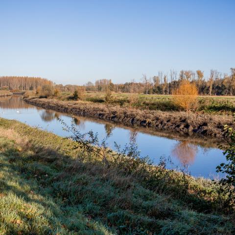 Zennedijk in Hombeek