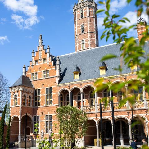 Hof van Busleyden binnentuin 